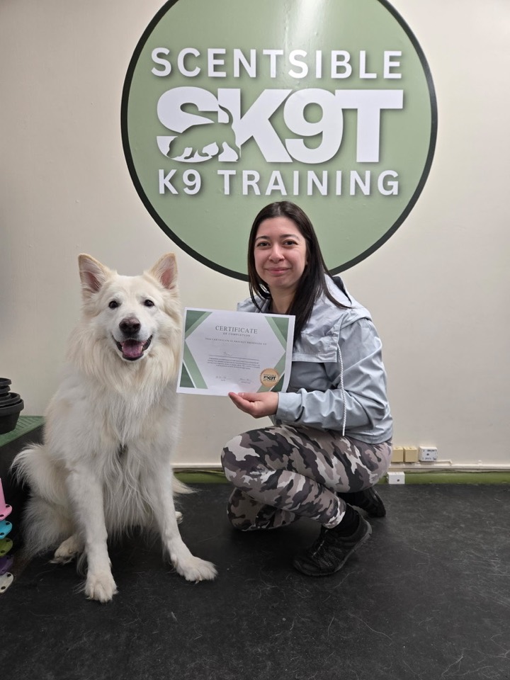 A graduate of a Scentsible K9 group class with their dog